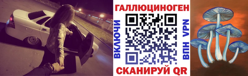 mega ТОР  Нижнекамск  Галлюциногенные грибы Cubensis  как найти  