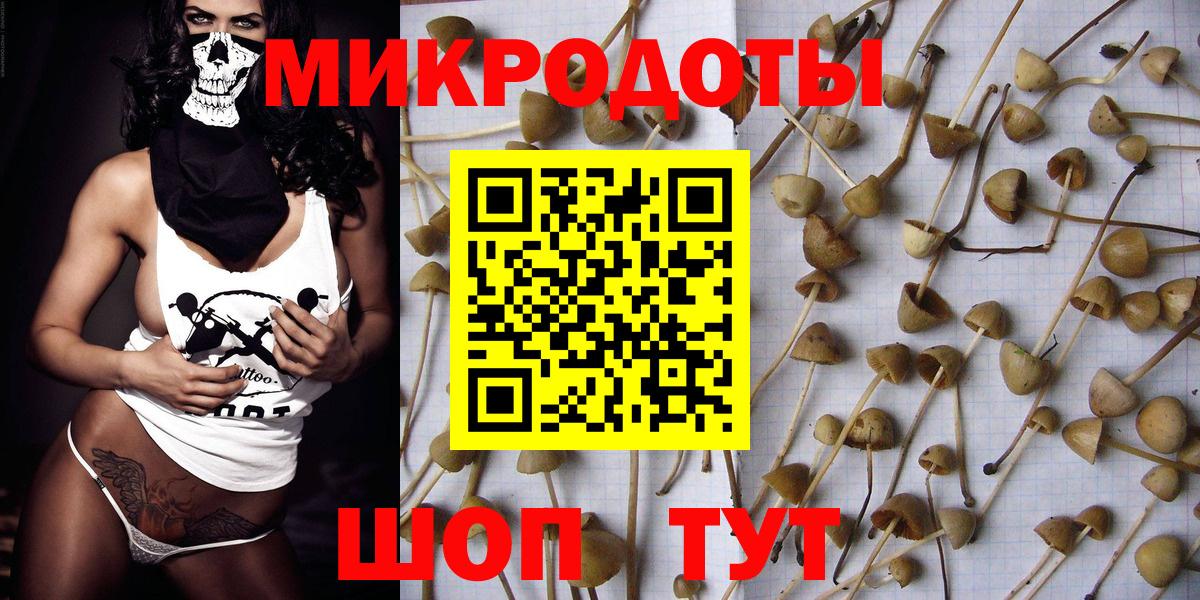 хочу   Нижнекамск  Галлюциногенные грибы GOLDEN TEACHER 