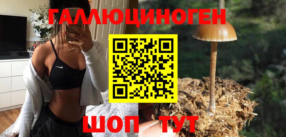 Нижнекамск  Галлюциногенные грибы GOLDEN TEACHER  Галлюциногенные грибы GOLDEN TEACHER  Вход с VPN 
