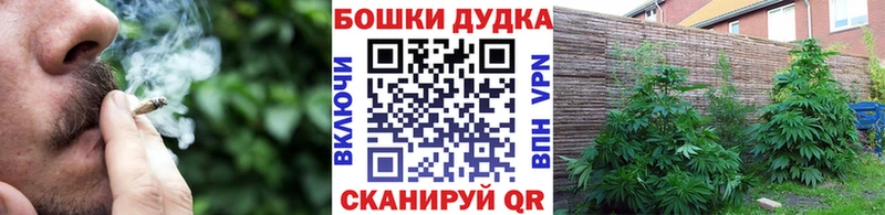 МАРИХУАНА план Нижнекамск